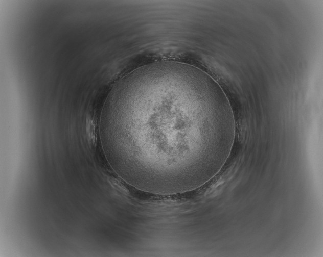 X0000112951010200908311505