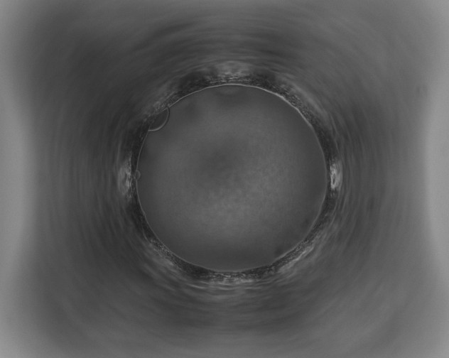 X0000112951011200908311505