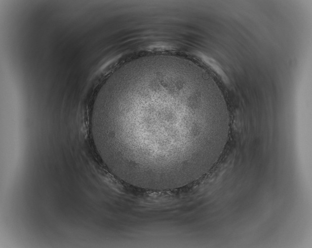 X0000112951015200908311505