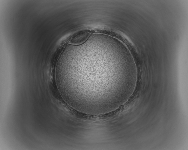 X0000112951016200908311505