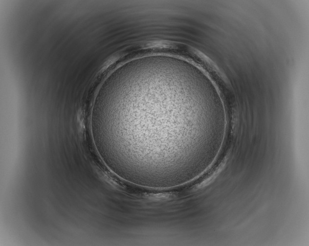 X0000112951017200908311505