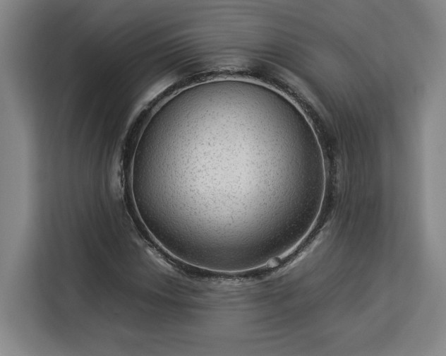 X0000112951018200908311505