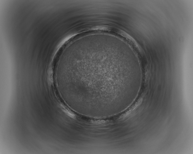 X0000112951019200908311505