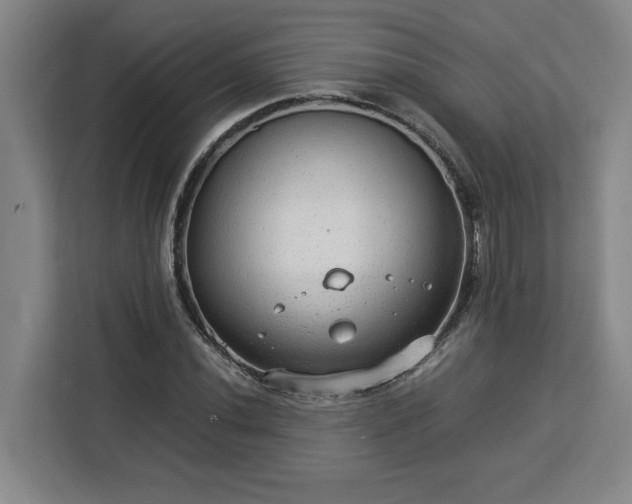 X0000112951020200908311505