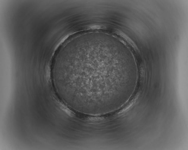 X0000112951023200908311505