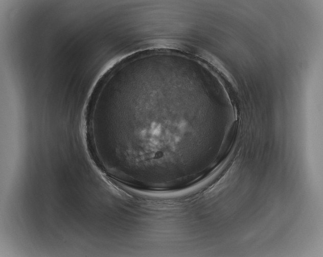 X0000112951024200908311505