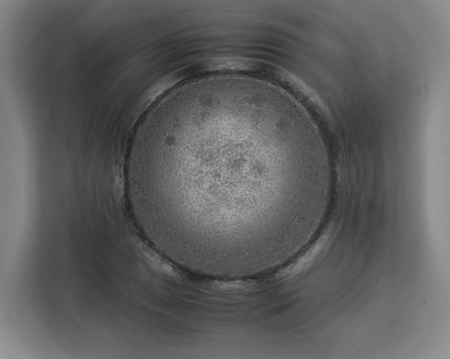 X0000112951025200908311505