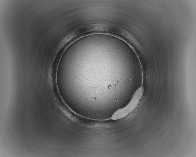 X0000112951026200908311505