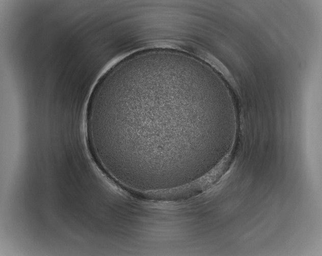 X0000112951028200908311505