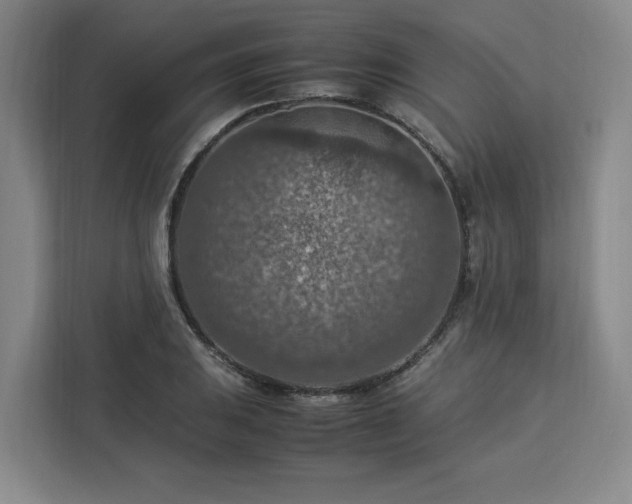 X0000112951031200908311505