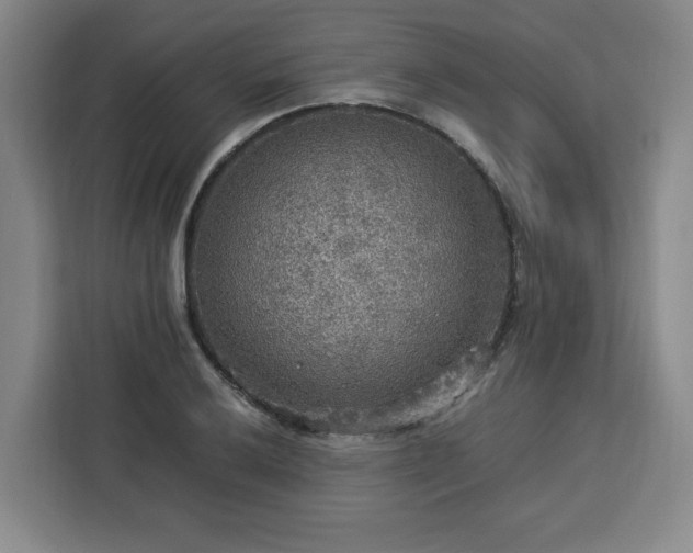 X0000112951032200908311505