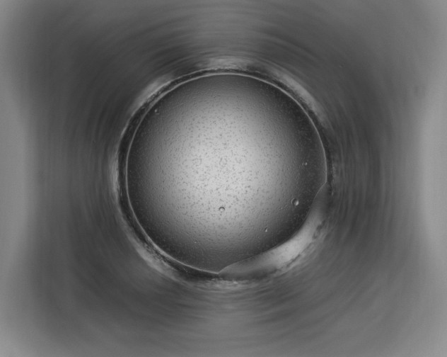 X0000112951034200908311505