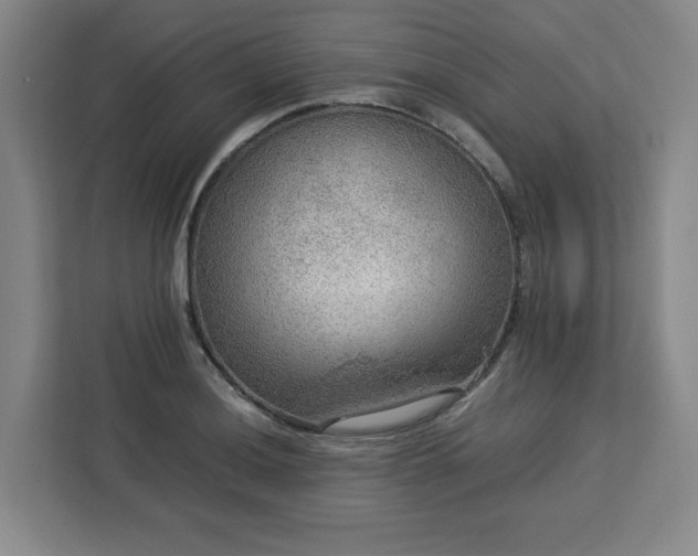 X0000112951036200908311505