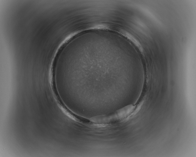 X0000112951037200908311505