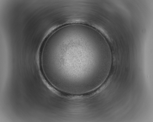 X0000112951038200908311505