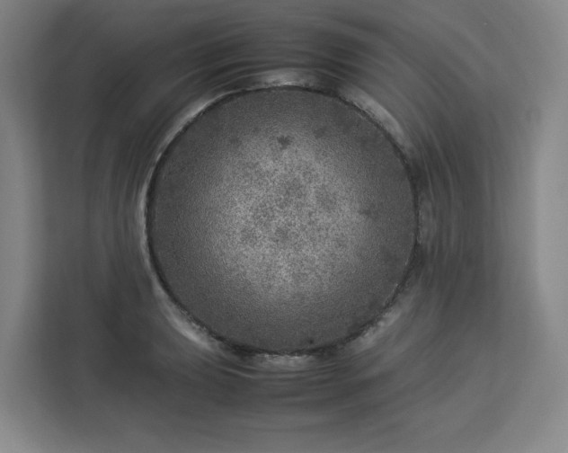 X0000112951039200908311505