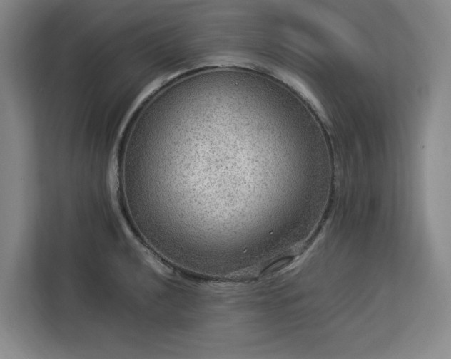 X0000112951040200908311505