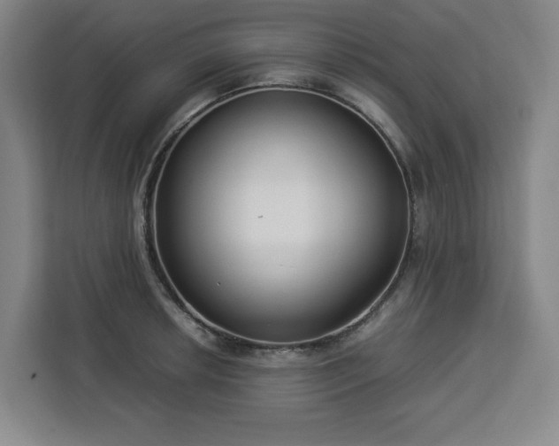 X0000112951042200908311505