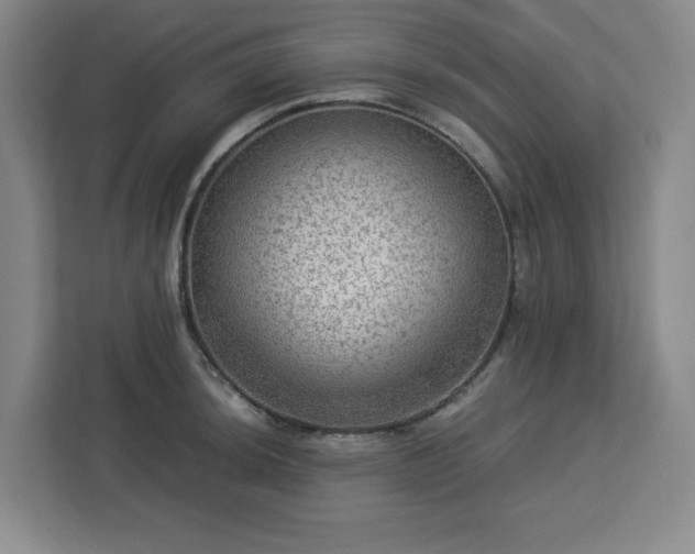 X0000112951044200908311505