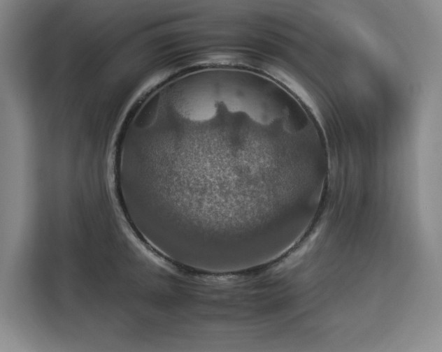 X0000112951045200908311505