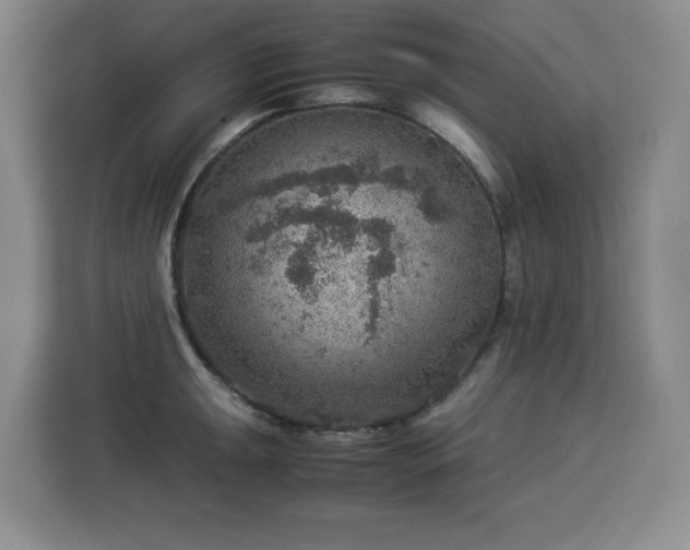 X0000112951047200908311505