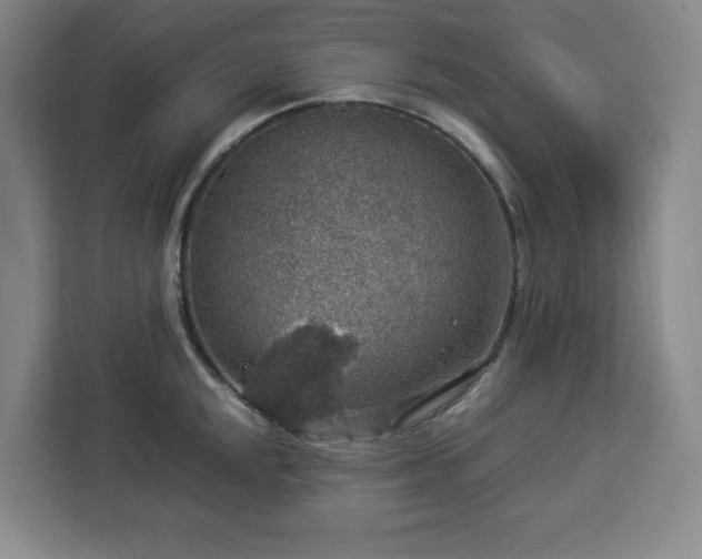 X0000112951048200908311505