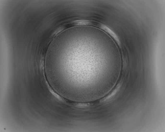 X0000112951049200908311505