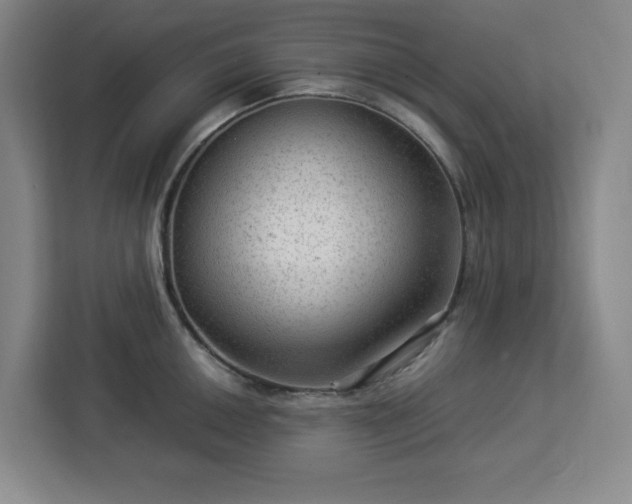 X0000112951050200908311505