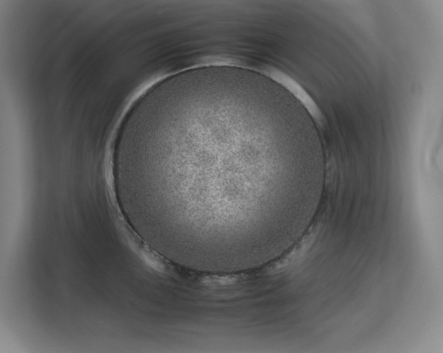 X0000112951051200908311505