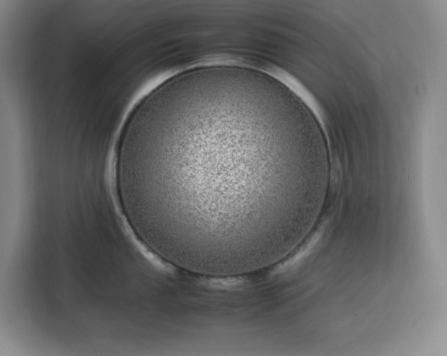 X0000112951053200908311505