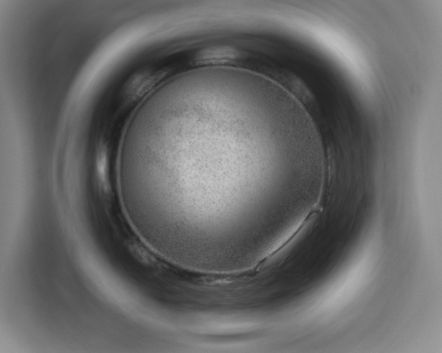 X0000112951054200908311505