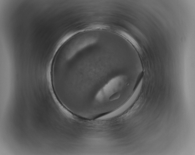 X0000112951055200908311505