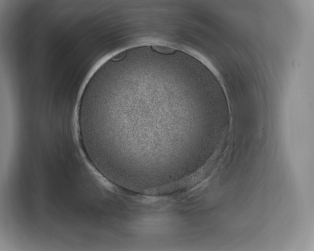 X0000112951056200908311505