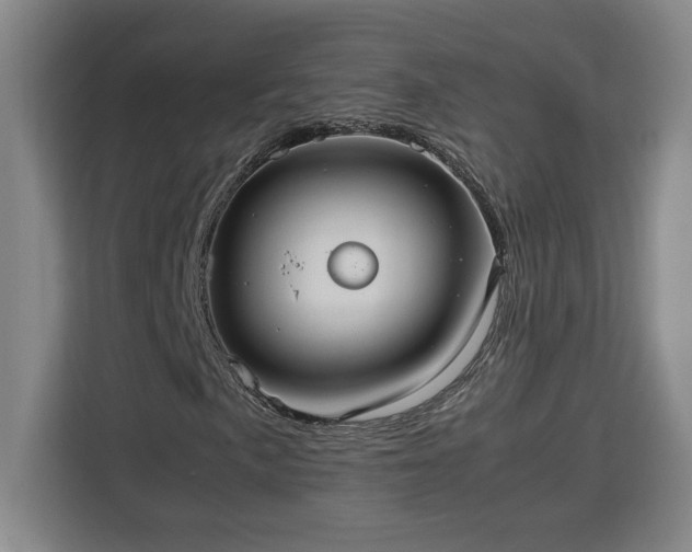 X0000112951057200908311505