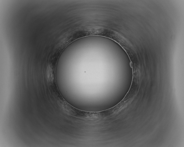 X0000112951058200908311505