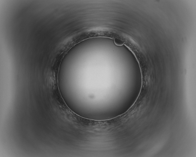 X0000112951062200908311505