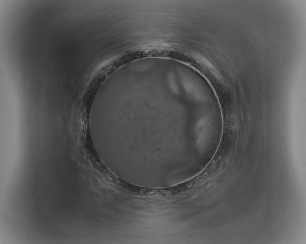 X0000112951063200908311505