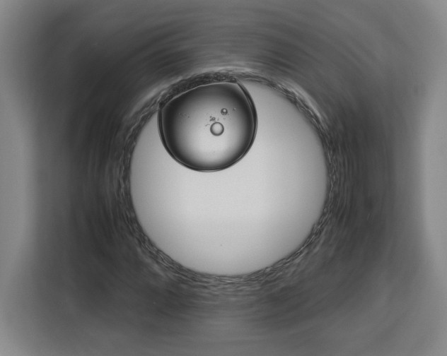 X0000112951064200908311504