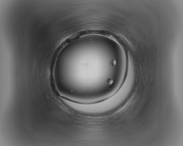 X0000112951065200908311504