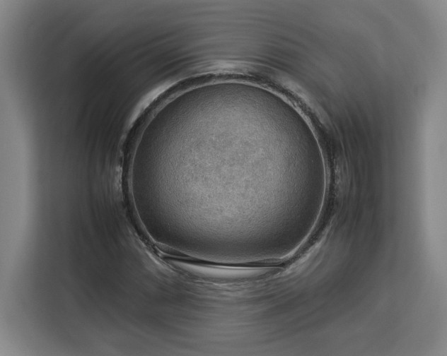 X0000112951066200908311504