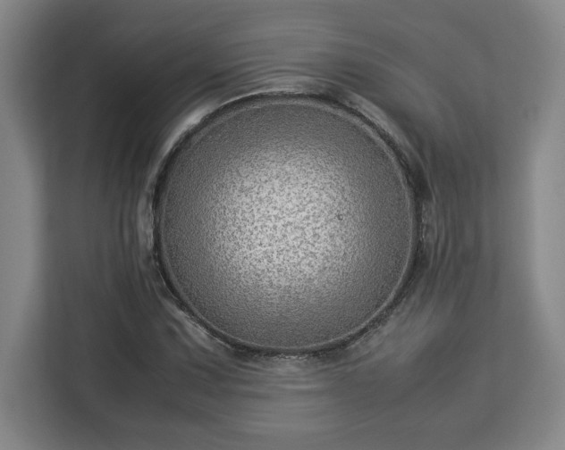 X0000112951067200908311504