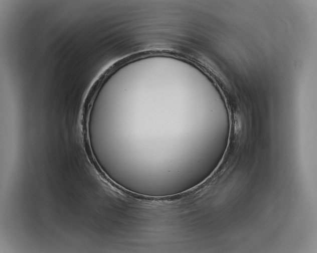 X0000112951068200908311504