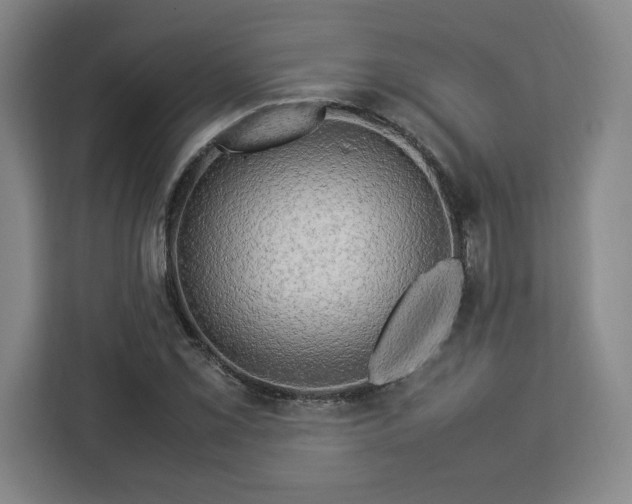 X0000112951069200908311504