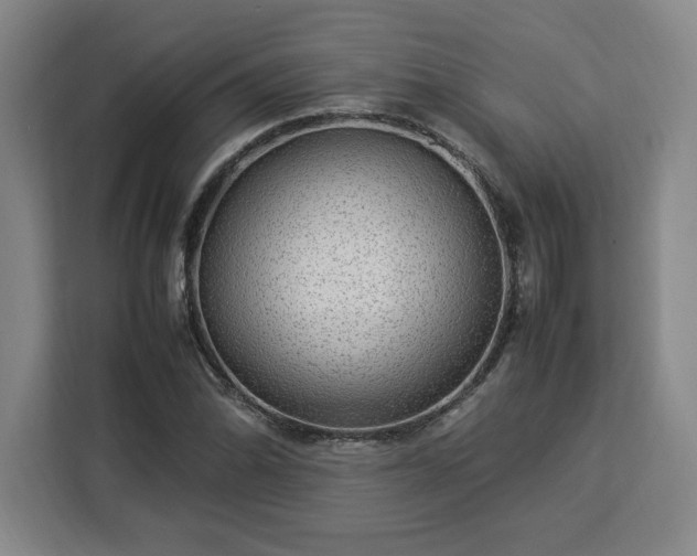 X0000112951070200908311504