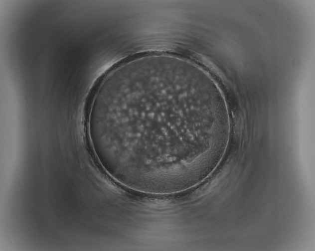 X0000112951071200908311504