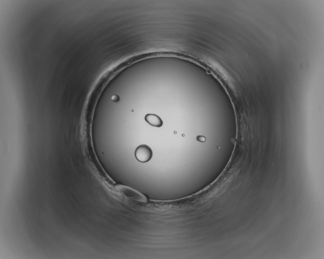 X0000112951072200908311504