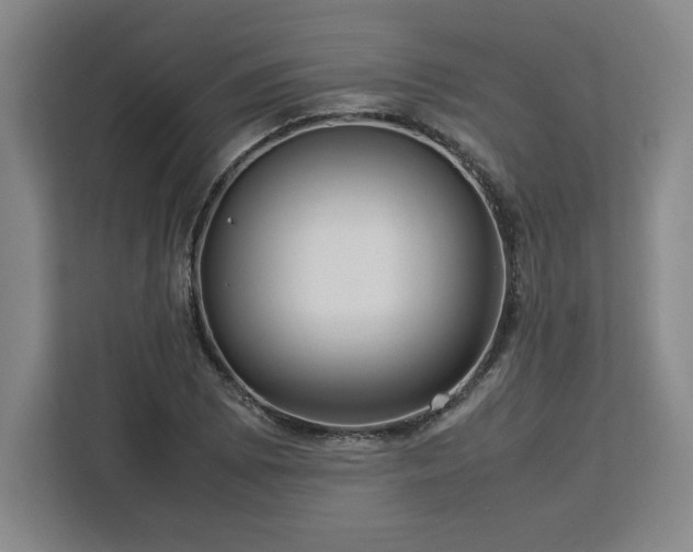 X0000112951073200908311504