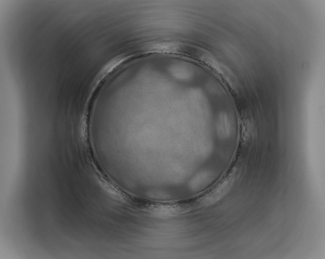 X0000112951074200908311504