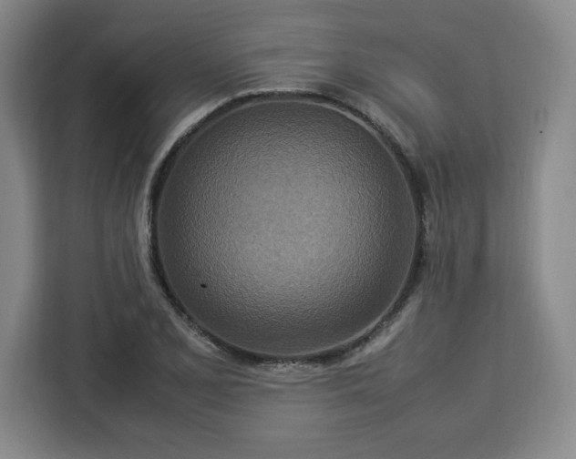 X0000112951077200908311504