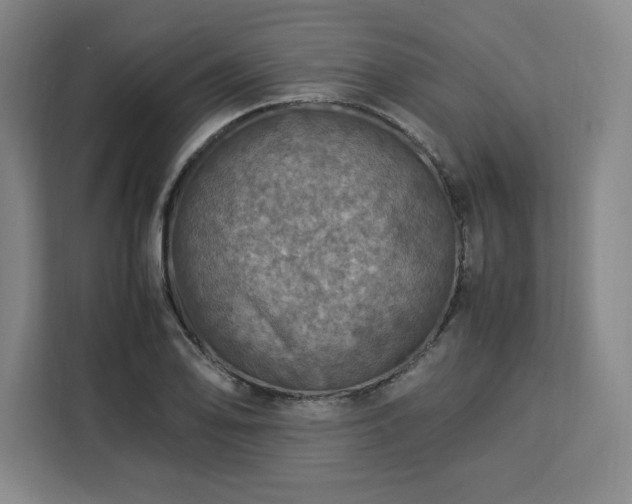 X0000112951078200908311504